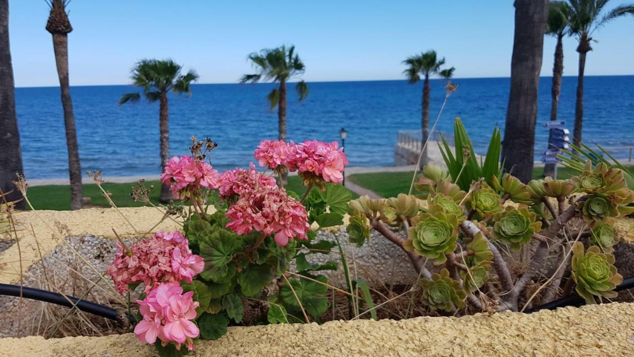Magnificas Vistas Al Mar Apartman Orpesa Kültér fotó